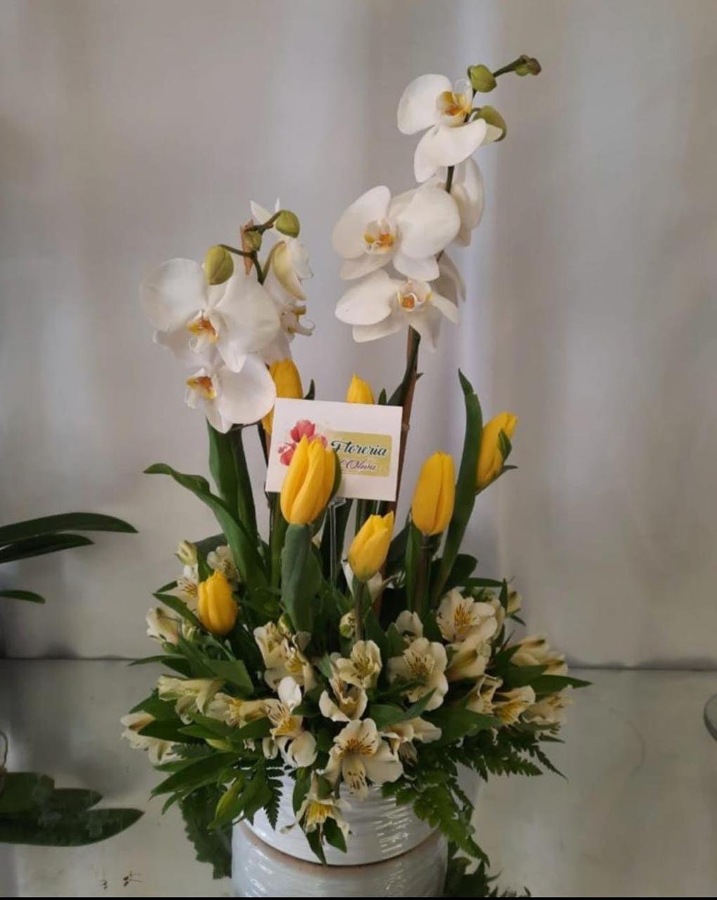 Orquídea 11